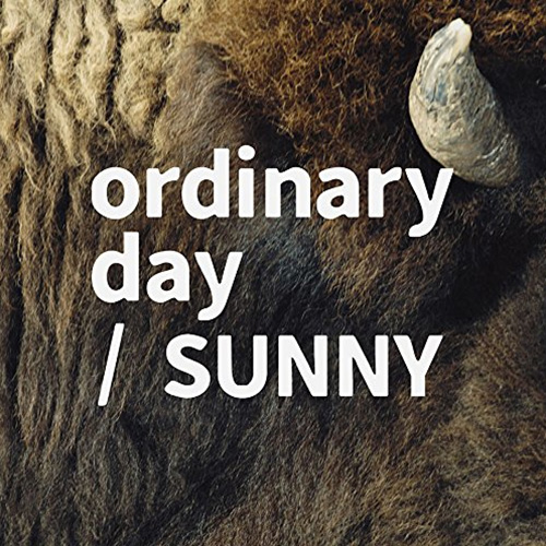 tacica『ordinary day / SUNNY』